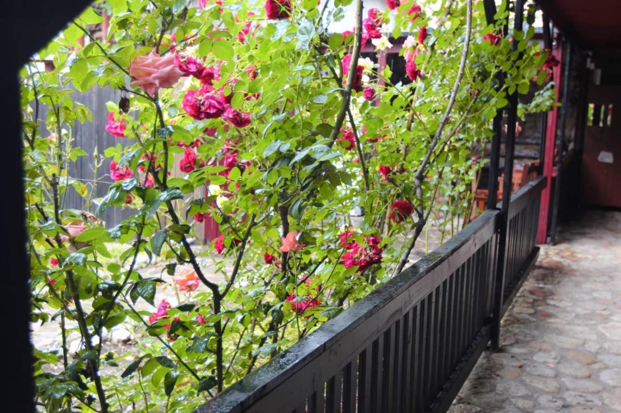 C Dor De Vama Bedrooms Vama Veche Exterior foto