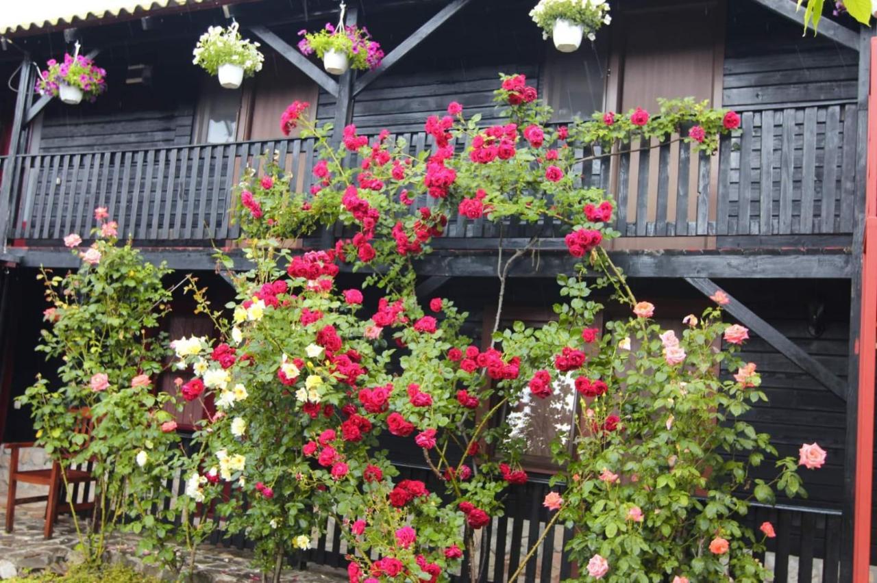 C Dor De Vama Bedrooms Vama Veche Exterior foto